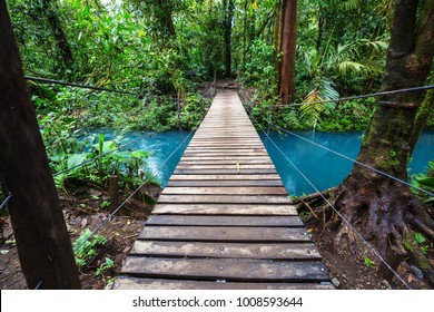 Handing Bridge In Green Jungle, Costa Rica, Central America