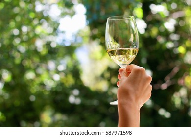 Handing Holding A Glass Of White Wine Under The Trees Outdoors