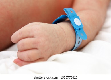 handle of a newborn baby with blue tag. Maternity hospital, perinatal center, motherhood