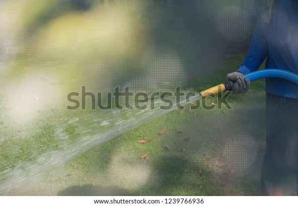 Handle water hose car plants\
boke\
