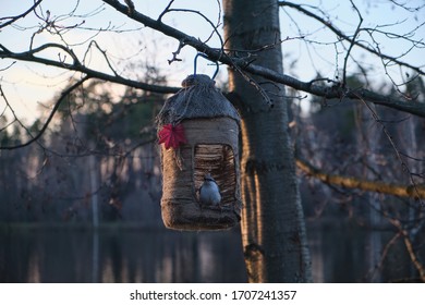 Handmade Bird Feeder Made Of Five Litre Bottle