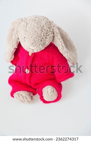 handmade bunny clothes cuddly soft bunny adorable, baby, background, beautiful, bunny, child, childhood, clothes, cute, daughter, doll, dolls, dress, face, female, fun, game, gift, girl, hair, hands, 
