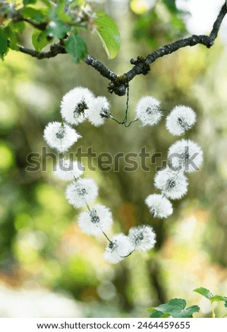 Similar – Image, Stock Photo A still closed dandelion flower.