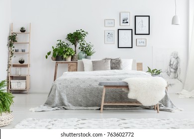 Handmade Drawings In Frames Hanging On The Wall In White Bedroom With Potted Plants And Wooden Decorative Ladder