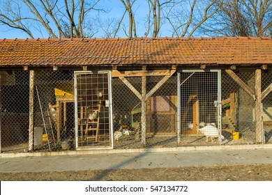 The Thicket Chicken House