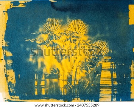 A handmade image of a cobweb thistle plant, printed using an old photographic process called a Cyanotype mixed with a Turmeric Anthotype process.