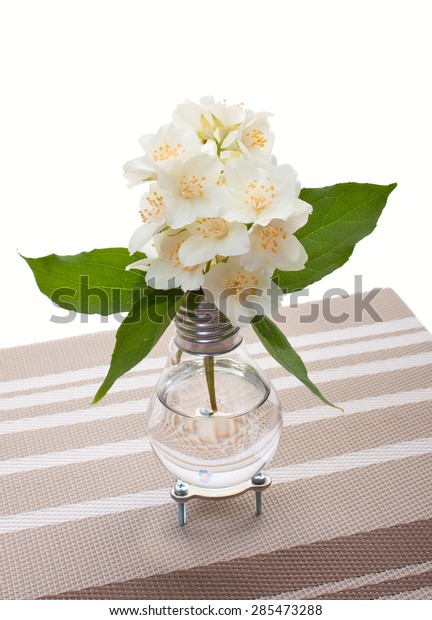 Handmade Light Bulb Vase Jasmine Flowers Stock Photo Edit Now