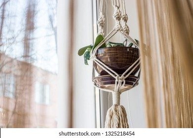 Handmade Macrame For Flowers In The Interior Of The Concept