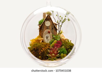 Handmade miniature house model with real plants wood of fallen trees of the forest, a deckchair and table to scale more parcels than the other elements in a terrarium ball ideal to give mothers' day