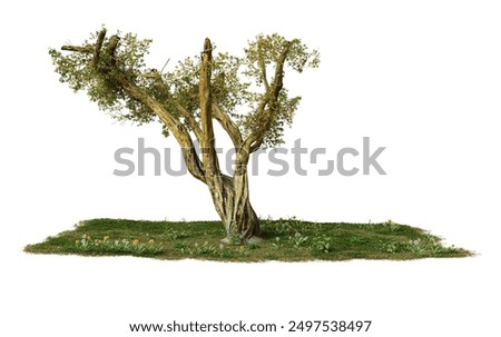 Handmade model olive tree on a black background. Miniature tree for architectural models and dioramas.