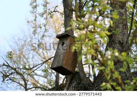 Handmade nesting box in a tree, spring bloom, abstract garden wallpaper. Bird migration season, handmade nesting boxes, crafts, old pear branches, birds returning to nests