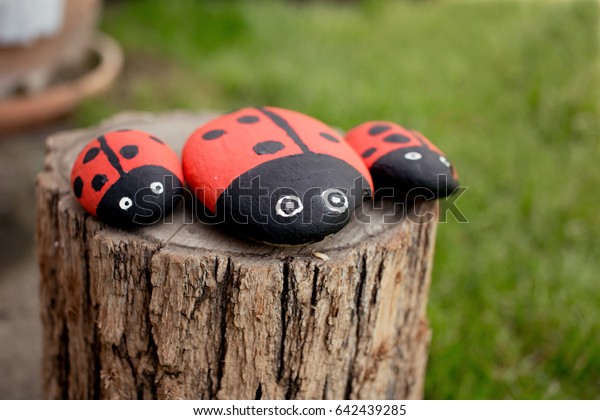Handmade Painted Acrylic Stone Ladybugs Garden Stock Photo Edit