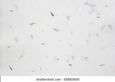 Handmade Paper Texture With Dried Flowers