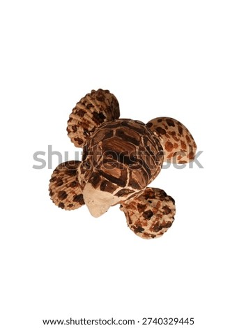 Handmade seashell turtle figurine isolated on white background. Creative marine craft decoration made from natural shells, featuring a detailed sea turtle design with brown patterned shell. Unique coastal ornament perfect for beach house decor, nautical themes, souvenirs, and ocean-inspired home decoration.