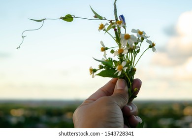 Handpicked bouquet  of wild flowers