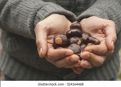 Handpicked Chestnuts