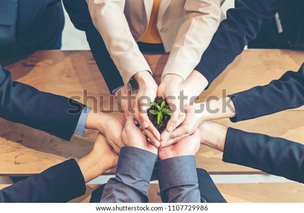 Hands\
adult business Team Work partnership harmony Cupping young Plant\
and seeding Nurture grow Environmental and reduce global warming\
help earth, top view.  Ecology agriculture\
Concept