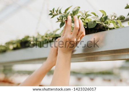 Similar – Woman making wild flowers at home in vase