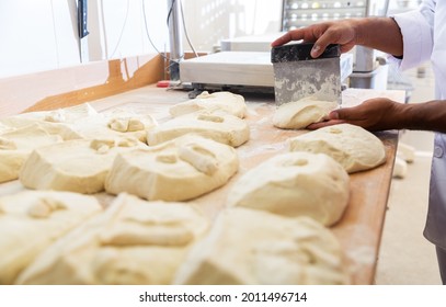 Hands Of Baker Portioning Raw Dough With Scraper Before Shaping Bread..