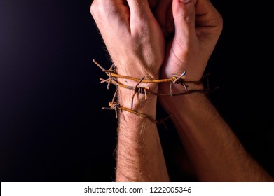 hands in barbed wire