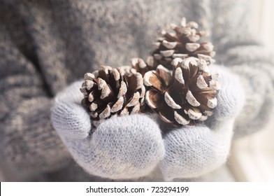  Hands In Blue Knitted Mittens Holding Cones