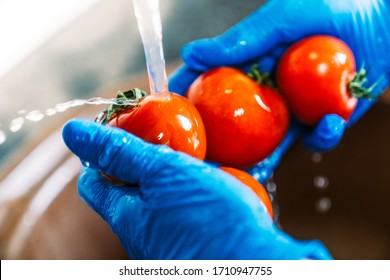 Hands with blue latex gloves disinfecting tomatoes to decontaminate the fruit from coronavirus. Washing the fruit with water and lye to remove viruses.