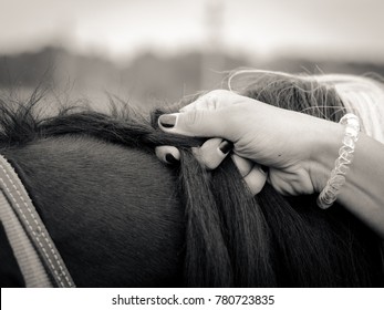 Hands Braid Horse Mane