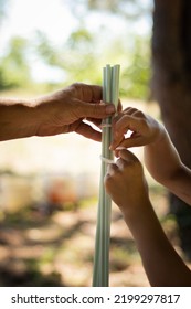 Hands Building Tent In Nature