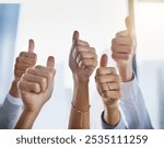 Hands, business people and thumbs up for agreement, good job or success in collaboration, thank you or goals. Group, ok emoji and winning with yes, support or trust for teamwork or solidarity