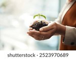 Hands, business and woman with plant, soil and company growth with investment, finance or earth day. Closeup, person or consultant with sustainability for startup, natural resources or accountability