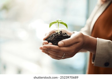 Hands, business and woman with plant, soil and company growth with investment, finance or earth day. Closeup, person or consultant with sustainability for startup, natural resources or accountability