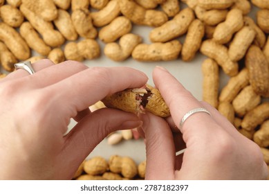 Hands carefully split open a roasted peanut, revealing its crunchy, nutty interior. Surrounding them are many more peanuts, showcasing an abundance of this delightful snack.