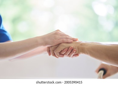 Hands of caregivers and the elderly - Powered by Shutterstock