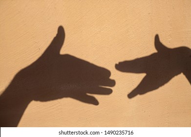 Hands Casting Shadow Puppet On Wall