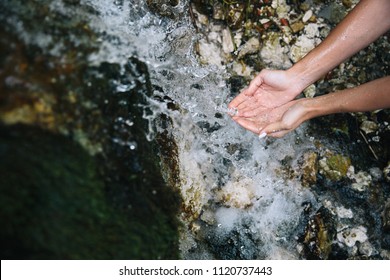 Hands Catching Water From The Springwater. Moss And Brook Background