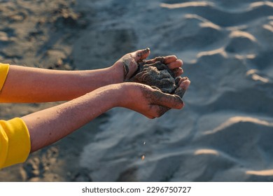 Hands of a child holding a wet sand on the beach - Powered by Shutterstock