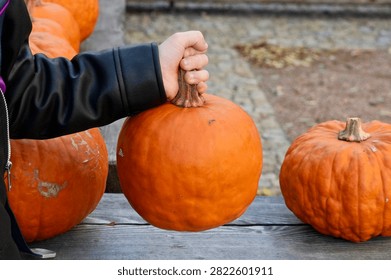 Hands of a child with pumpkins. Selective focus.