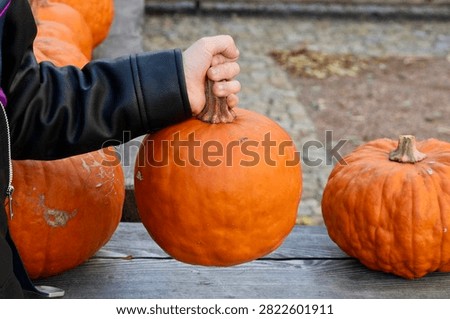 Hands of a child with pumpkins. Selective focus.