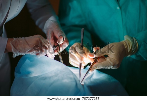 Hands close-up of surgeons holding medical\
instruments. The surgeon makes an\
operation.