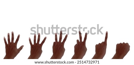 Hands counting, fingers count from back side, from null, one to five, isolated on white background..