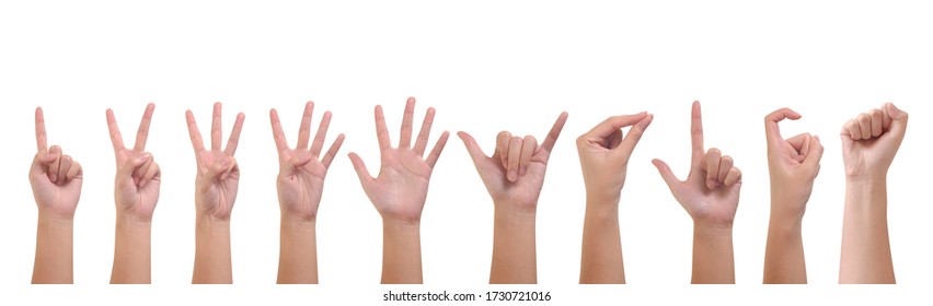 hands counting from zero to ten isolated on white background