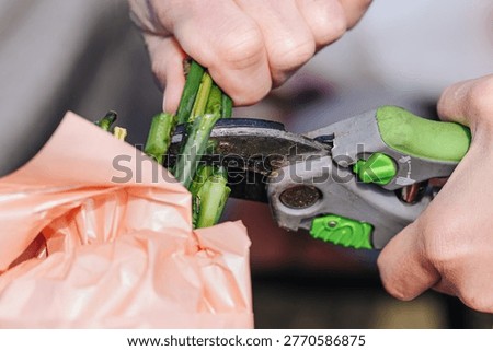 Hands cutting flower stems with pruning shears. Florist bouquet preparation concept. Fresh plant trimming background. Floral arrangement scene. Craft workshop closeup view. Gardening detail theme.