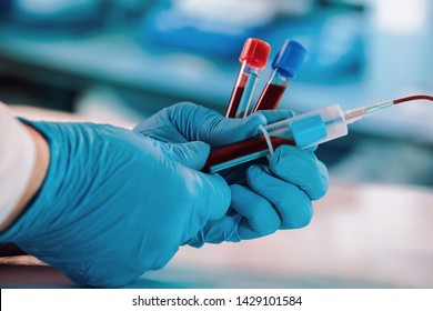 hands of a doctor taking samples of blood tubes for analysis / lab technician drawing blood samples using a tube holder in the clinical laboratory