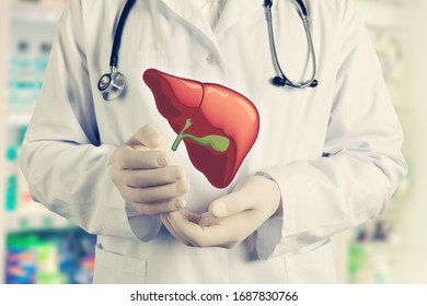 Hands of a doctor in a uniform hold a liver