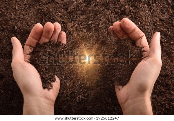 Hands with earth and\
glitter in the center with ground background. Horizontal\
composition. Top view.