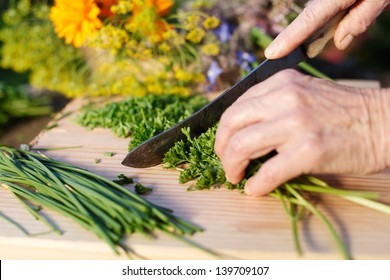 Hands of an elderly grandmother chopping fresh parsley from the garden for use in her cooking as she prepares the meal - Powered by Shutterstock