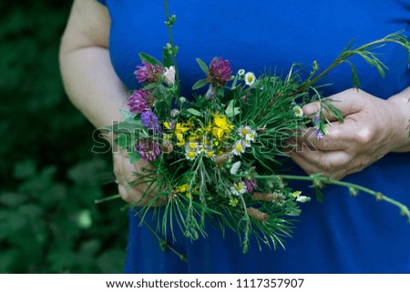 Hands of an elderly woman holding a bouquet of wildflowers. Bouquet of wild flowers in the hands of an elderly woman. Summer wildflowers close-up.