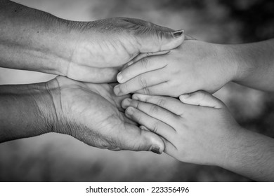 Hands Elderly Woman Holding Hand Younger Stock Photo 223356496 ...