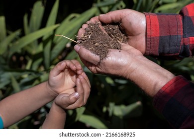 Hands Of Elderly Woman And Unrecognizable Latin American Child Holding In Composted Soil. Concept Gardening, Retired, Hobbies And Leisure.