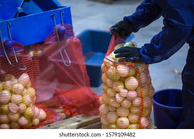 mesh bags for storing bulbs